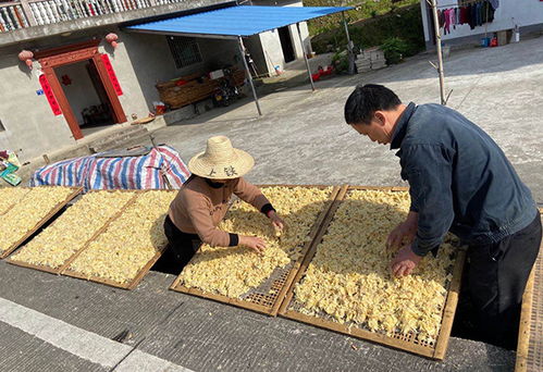 人均收入由9320元提至13600元 駐村書記說脫貧要念好 三字經