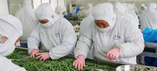 農(nóng)村&ldquo;小型加工廠&rdquo;做什么好?這3個(gè)項(xiàng)目&ldquo;錢&rdquo;景可觀,不愁銷路