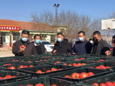 海陽(yáng)市政府 海陽(yáng)要聞 【雷鄉(xiāng)戰(zhàn)&ldquo;疫&rdquo;】海陽(yáng)市搭建農(nóng)超雙向?qū)訕蛄? class=