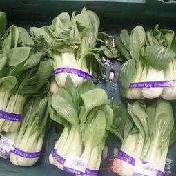 威海食藥監(jiān)局解讀食用農(nóng)產(chǎn)品入場(chǎng)交易法規(guī)制度