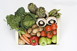 相冊(cè) 20090818