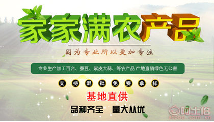 【甘肅廠家直銷優質紫皮獨頭蒜天然大蒜綠色安全大蒜食品蔬菜