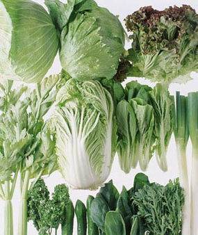 吃蔬菜減肥，為何反而越吃越肥？