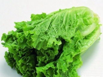 廣州市場大米、農(nóng)副產(chǎn)品批發(fā)與大型蔬菜配送公司的全方位解析